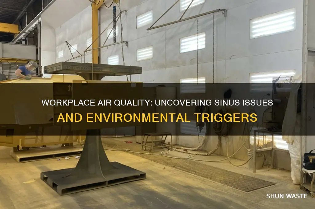 can working in a certain environment cause continous sinus problems