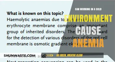 Cold Work Environments: Uncovering the Link to Anemia Risks