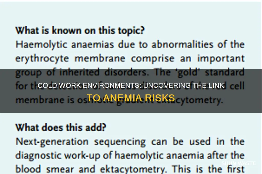Cold Work Environments: Uncovering The Link To Anemia Risks | ShunWaste