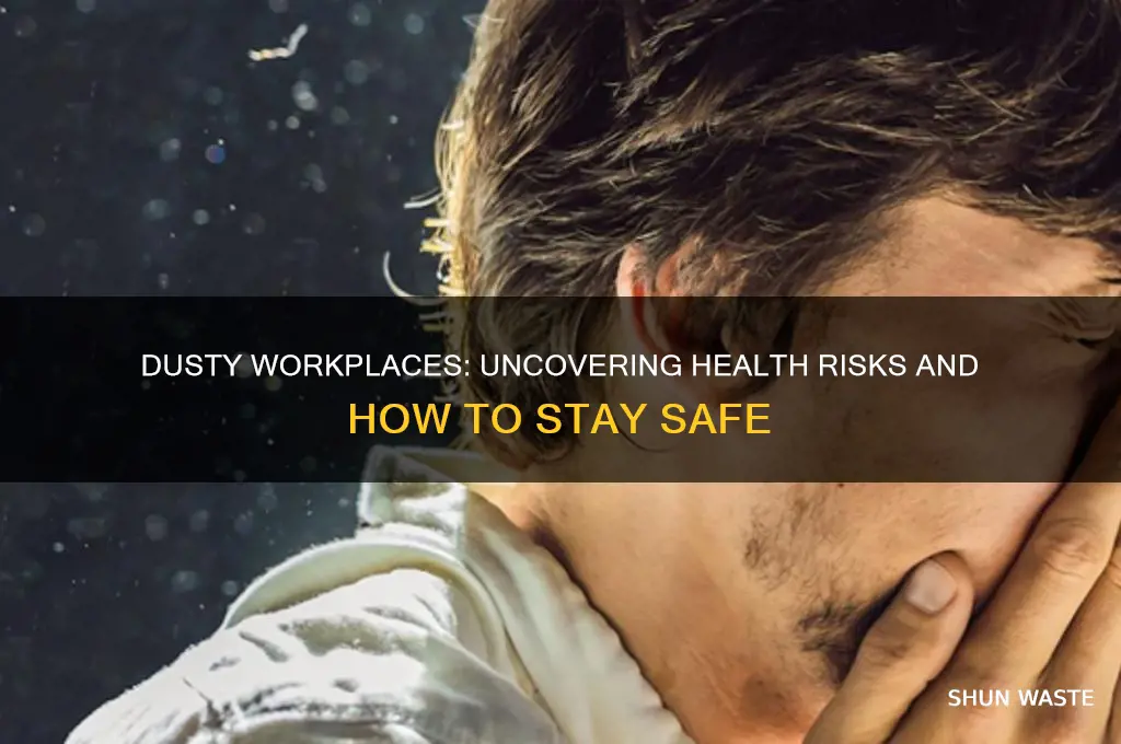 can working in a dusty environment make you sick