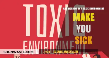 Toxic Workplaces: How They Impact Your Physical and Mental Health