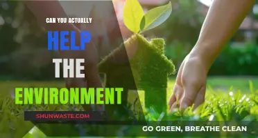 Small Actions, Big Impact: How You Can Truly Help the Environment