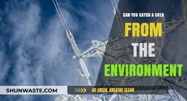 Can You Catch a Cold from the Environment? Unraveling the Myth