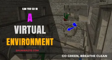 Navigating Virtual Environments: Can You CD Inside One?