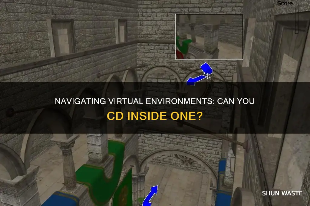 can you cd in a virtual environment