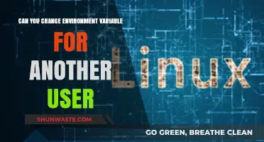 Changing Environment Variables for Other Users: Possibilities and Limitations