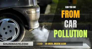 Car Pollution: A Silent Killer on the Roads?