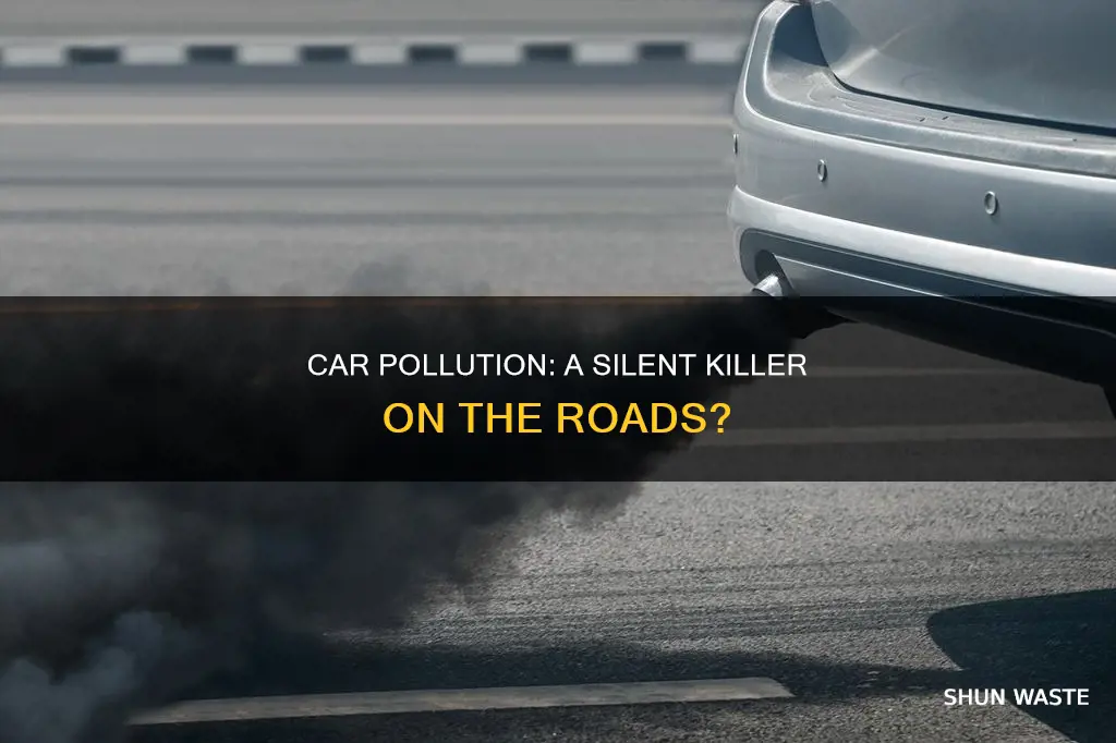 can you die from car pollution