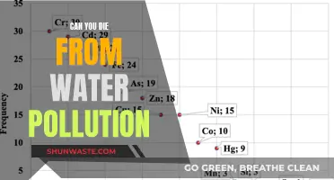 Water Pollution: A Deadly Threat to Human Health