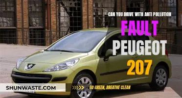 Anti-pollution Fault: Can You Still Drive Your Peugeot 207?