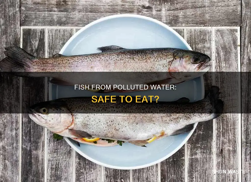 can you eat fish from polluted water