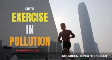 Should You Exercise in Pollution?