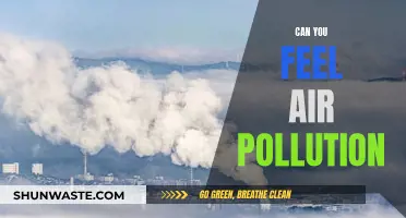 Air Pollution: Can You Feel the Impact?