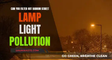 Filtering Sodium Street Lights: Reducing Light Pollution