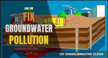 Groundwater Pollution: Reversing the Damage?