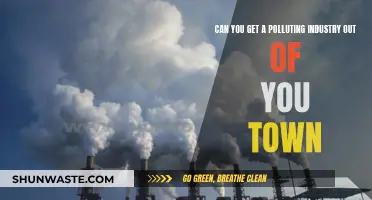 How to Evict a Polluting Industry from Your Town