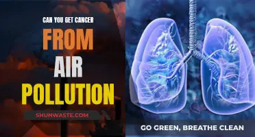 Air Pollution and Cancer: Is There a Link?