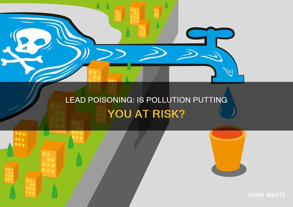 can you get lead poisoning from pollution