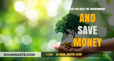 Eco-Friendly Savings: How Going Green Puts Money Back in Your Pocket