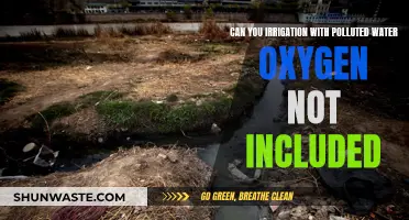 Irrigating with Polluted Water: Safe for Oxygen Not Included?