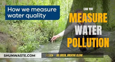 Measuring Water Pollution: What's the Best Way?