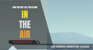 Air Pollution: The Invisible Danger We Face