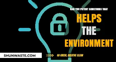 Patenting Green Innovations: Can Eco-Friendly Inventions Be Protected?