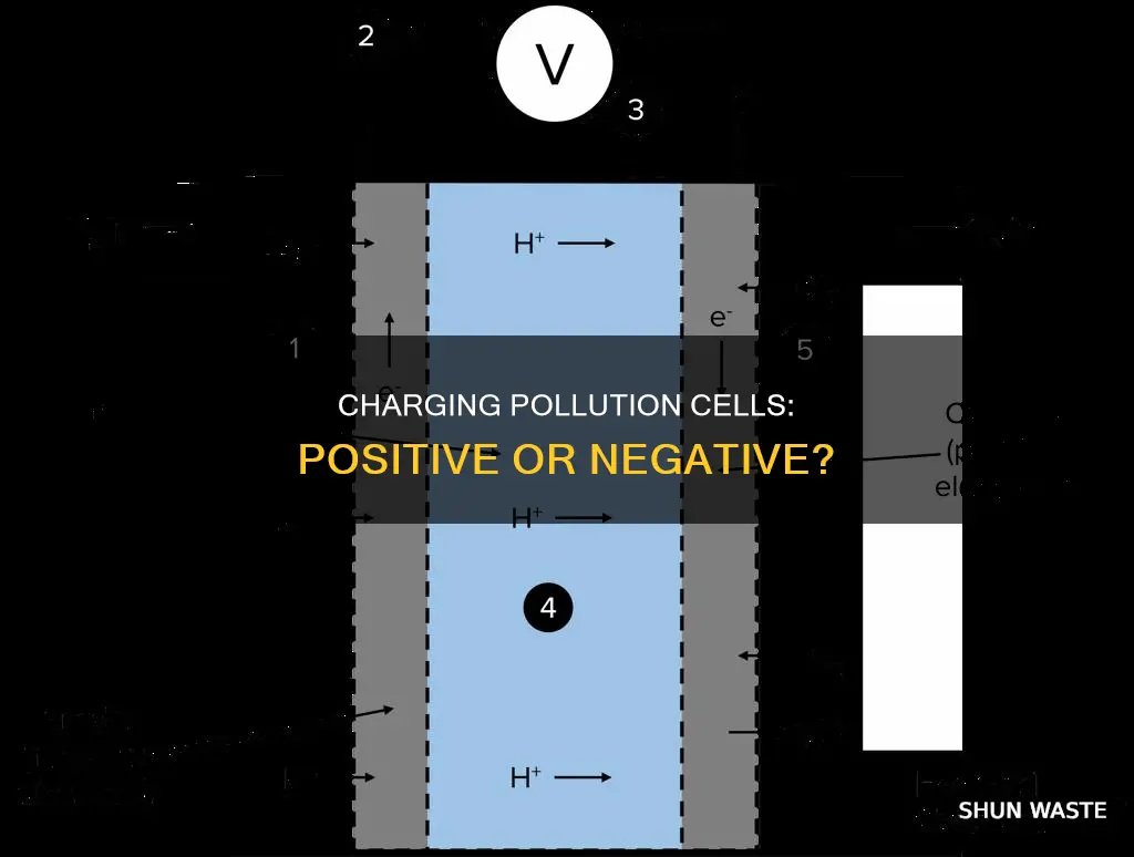 can you positively or negatively charge a pollution cell