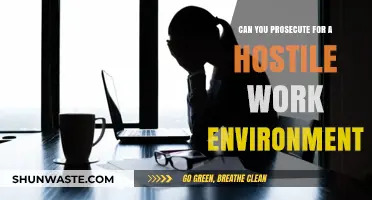 Prosecuting Hostile Work Environments: Legal Options and Employee Rights Explained