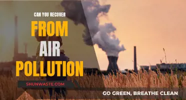 Air Pollution Recovery: Is It Possible?