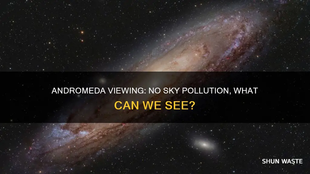 can you see andromeda without sky pollution