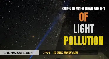 Meteor Showers: Light Pollution's Impact