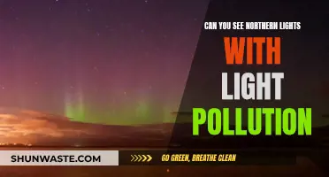 Light Pollution: Can You Still See the Northern Lights?