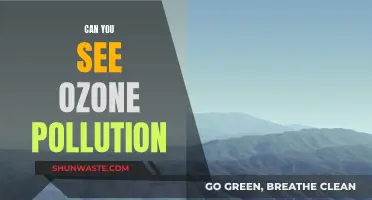 How to Observe Ozone Pollution and Protect Yourself