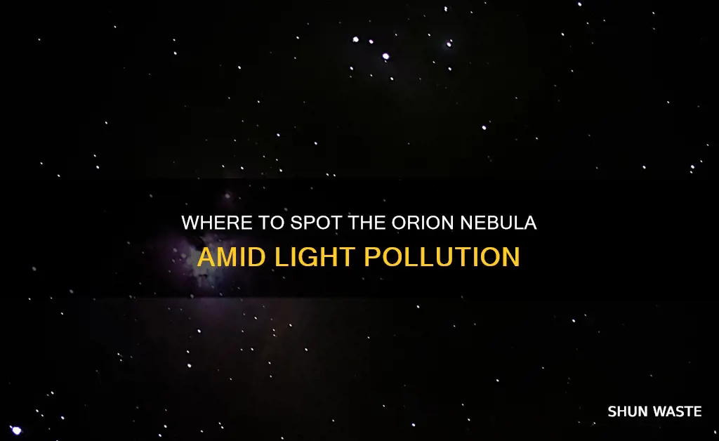 can you see the orion nebula in moderate light pollution