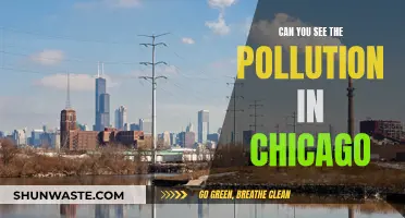 Chicago's Pollution Problem: Visible and Damaging