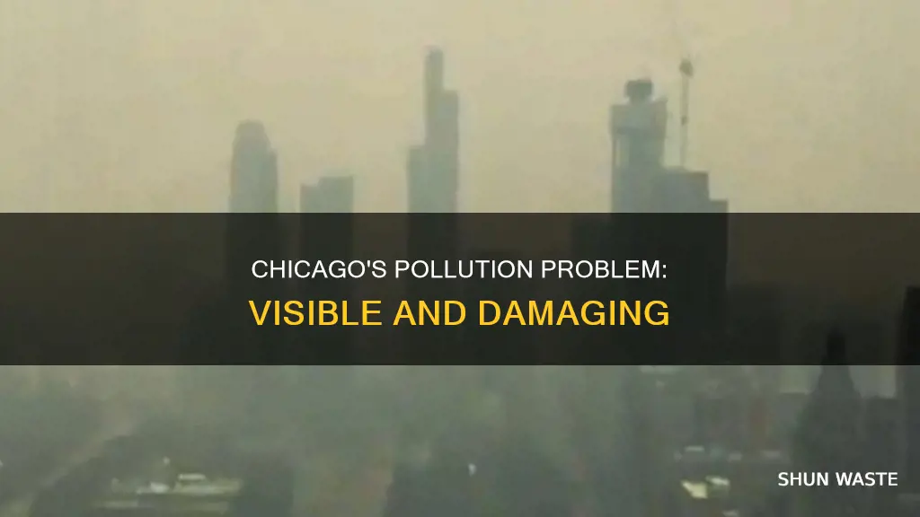 can you see the pollution in chicago