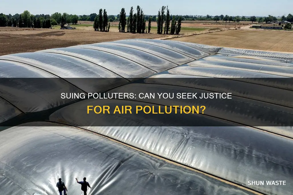 can you sew a company for polluting your air