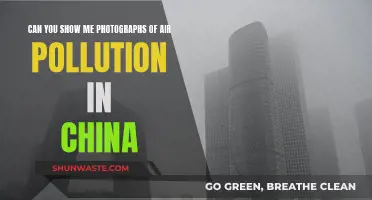 Air Pollution in China: Visual Evidence and Reality