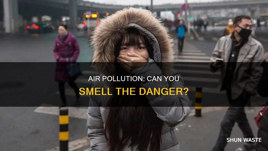 can you smell air pollution