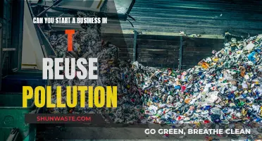 Business Opportunities in Tackling Reuse Pollution