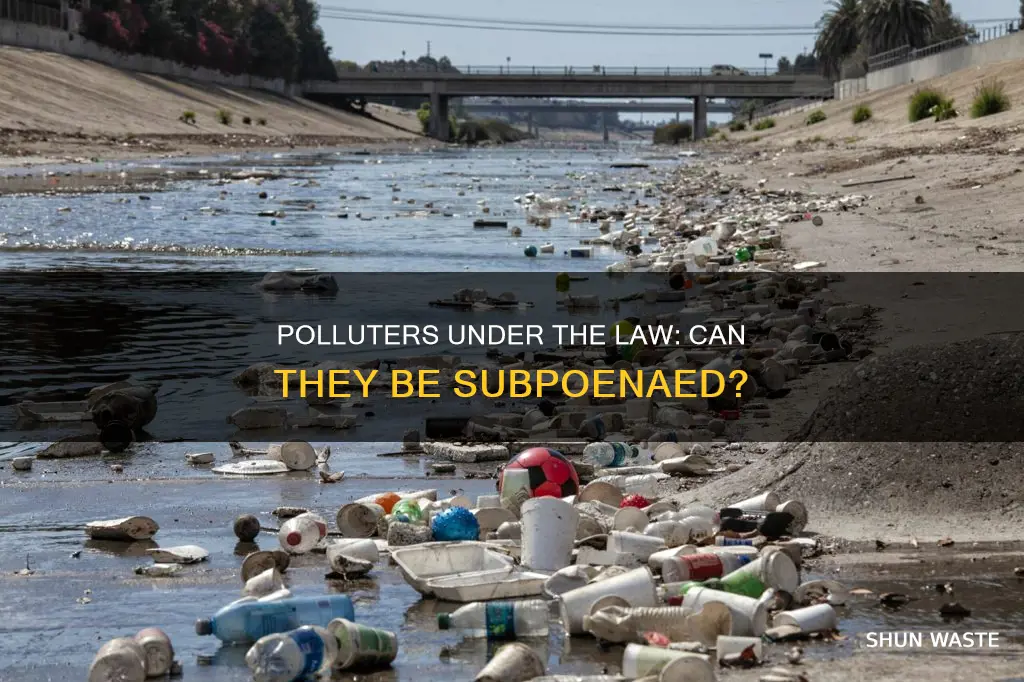 can you subpoena polluters