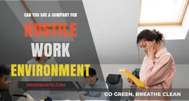 Can You Sue for a Hostile Work Environment? Legal Insights