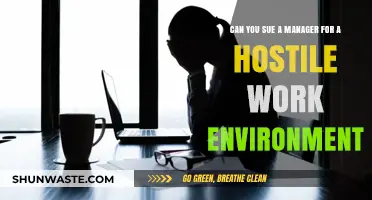 Can You Sue Your Manager for a Hostile Work Environment?