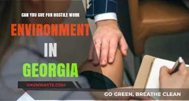 Suing for Hostile Work Environment in Georgia: Legal Options Explained