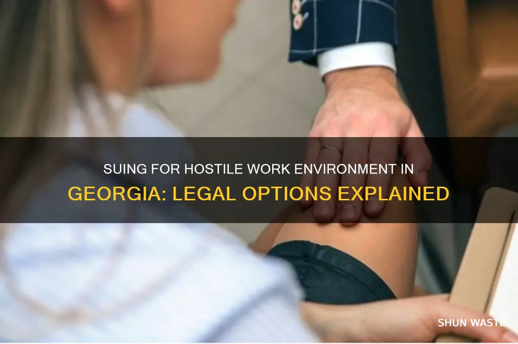 can you sue for hostile work environment in georgia