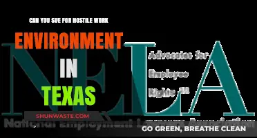 Hostile Work Environment Lawsuits in Texas: Legal Rights and Remedies