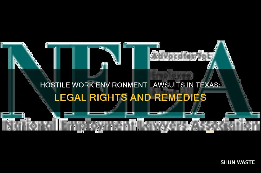 can you sue for hostile work environment in texas