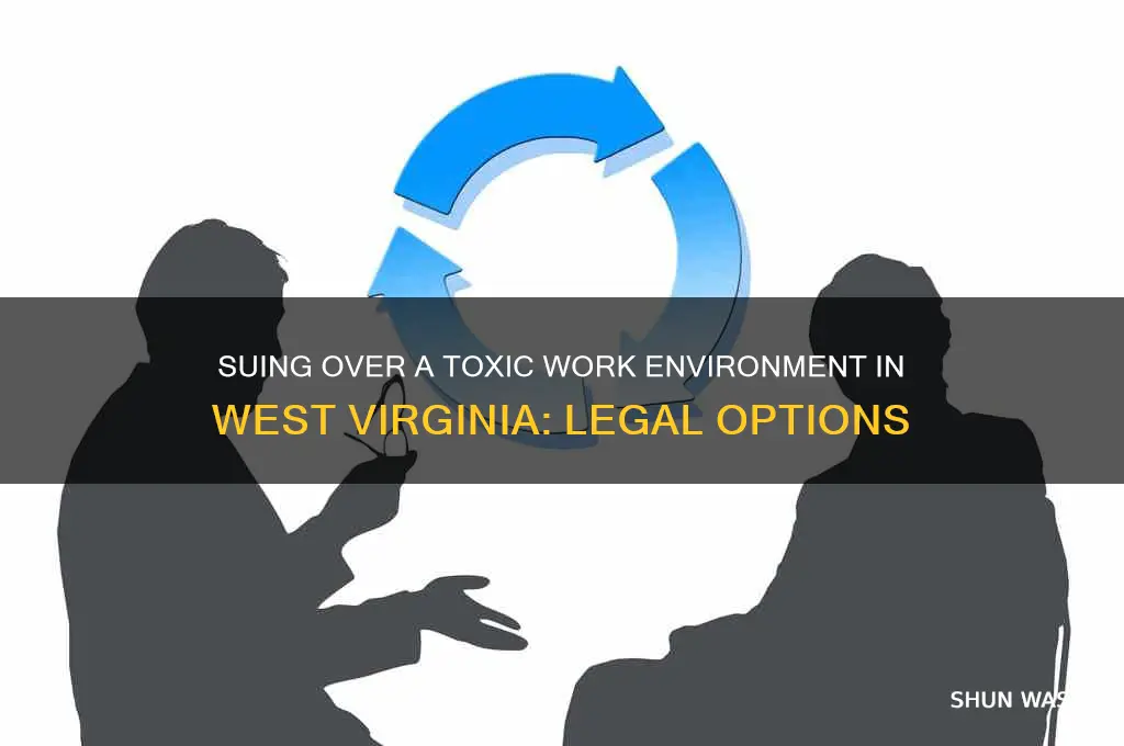 can you sue over a toxic work environment wv
