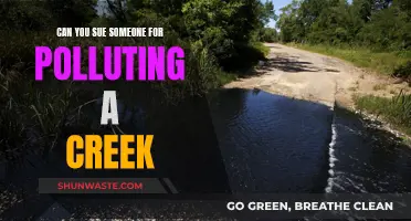 Polluted Creeks: Can You Sue for Environmental Damages?